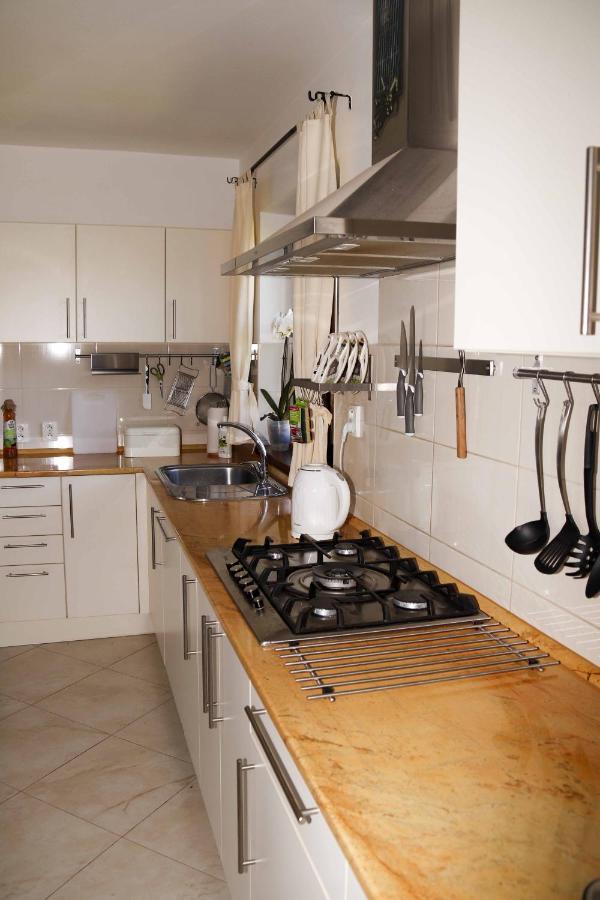Apartman U Vagnera Dvůr Králové nad Labem エクステリア 写真
